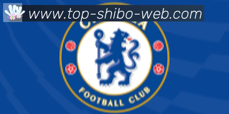 世博体育官网合作伙伴